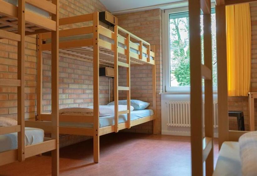 共用房间的床, St. Gallen Youth Hostel
