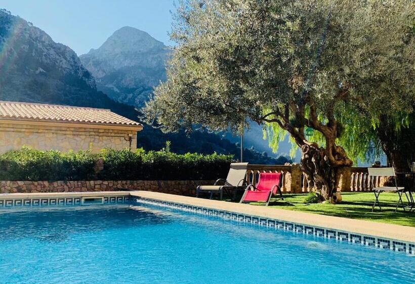 اتاق استاندارد, Can Pera Accommodation   Ti