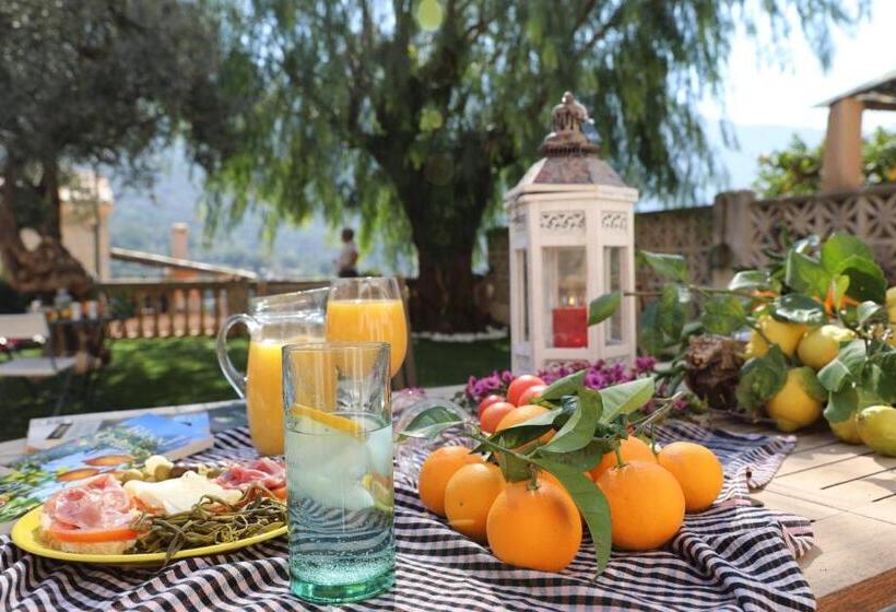 اتاق استاندارد, Can Pera Accommodation   Ti