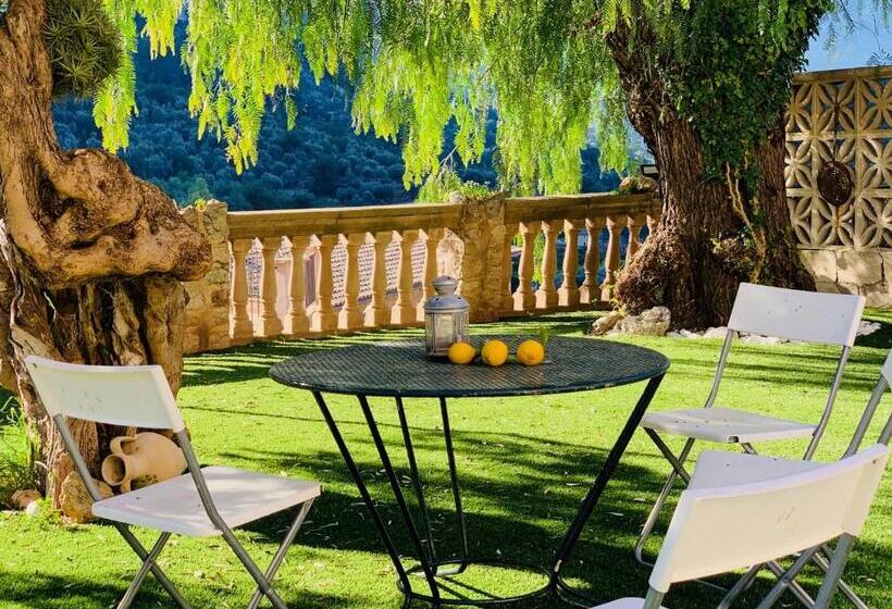 اتاق استاندارد, Can Pera Accommodation   Ti