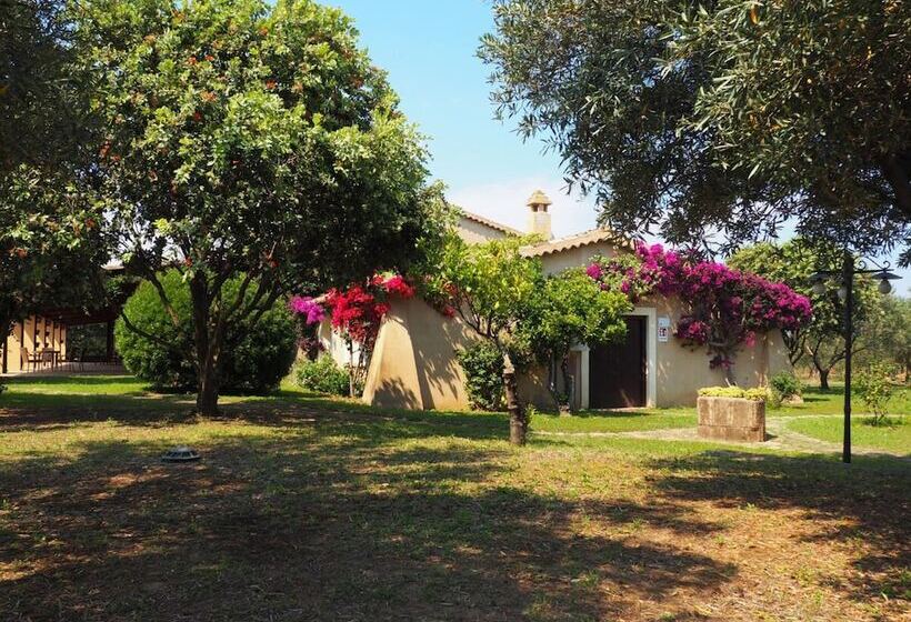 اتاق سوپریور چهار تخته, Il Borghetto Beach Club Resort