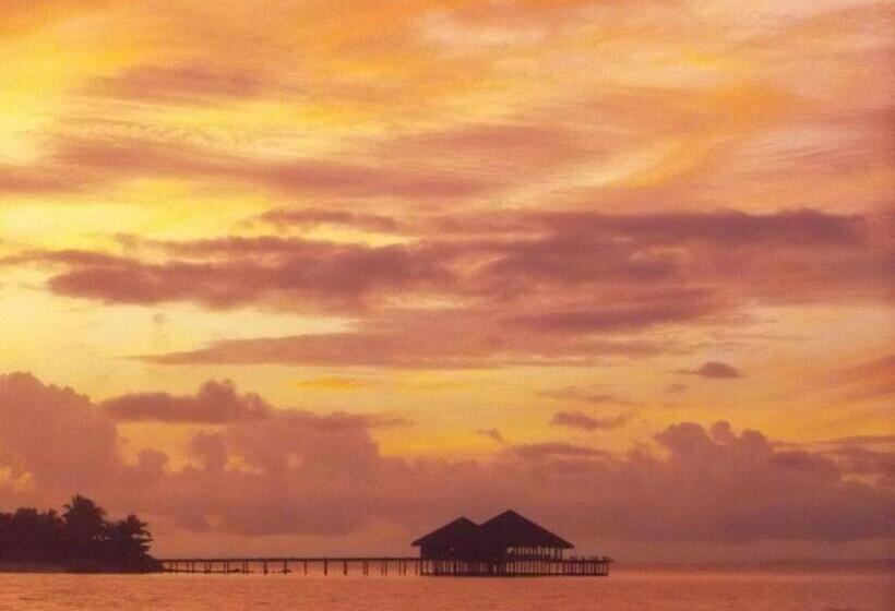 标准平房, Palm Beach Bungalow Resort