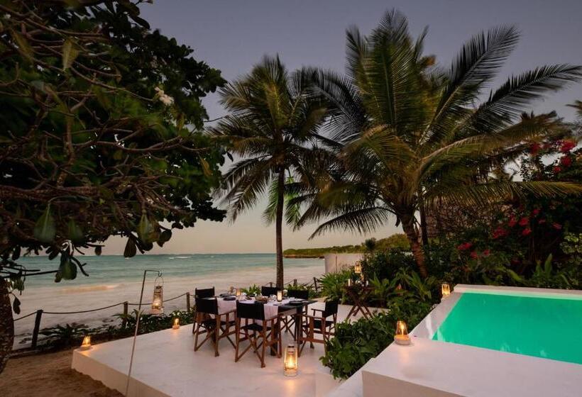 سوئیت جونیور با چشم‌انداز باغ, Upendo Beach Boutique Hotel Zanzibar