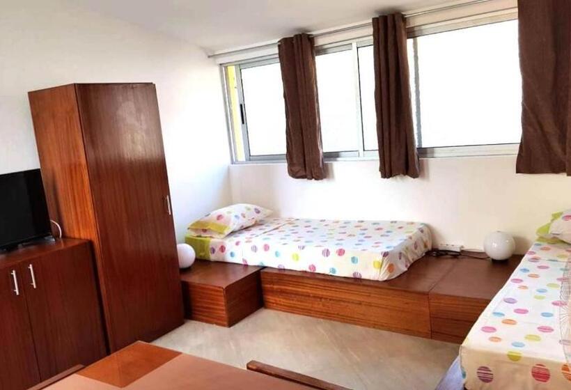 Suite with Terrace, Basic
