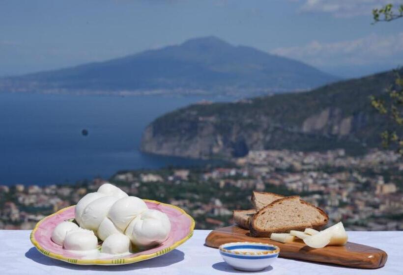Дом 1 Спальня, Agriturismo Nonno Antonino