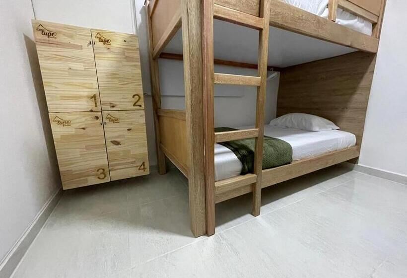 공동 객실, Casa Lupe Hostal