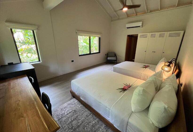 اتاق لوکس, Hadco Experiences At Asa Wright Nature Centre