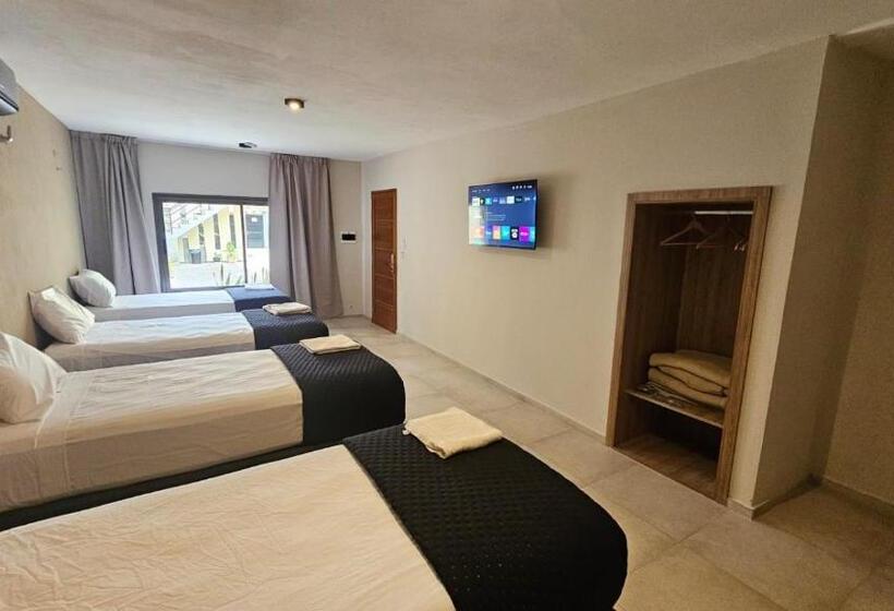 四人高级间, La Quinta Suites