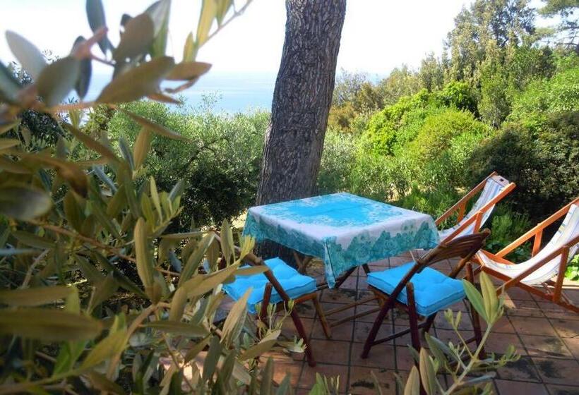 اتاق استاندارد, Mini Suite Ulivo