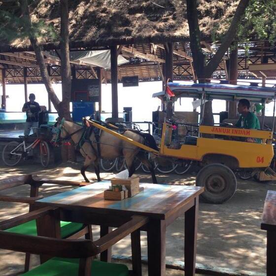 Бунгало Стандарт, Gili Turtle Beach Resort