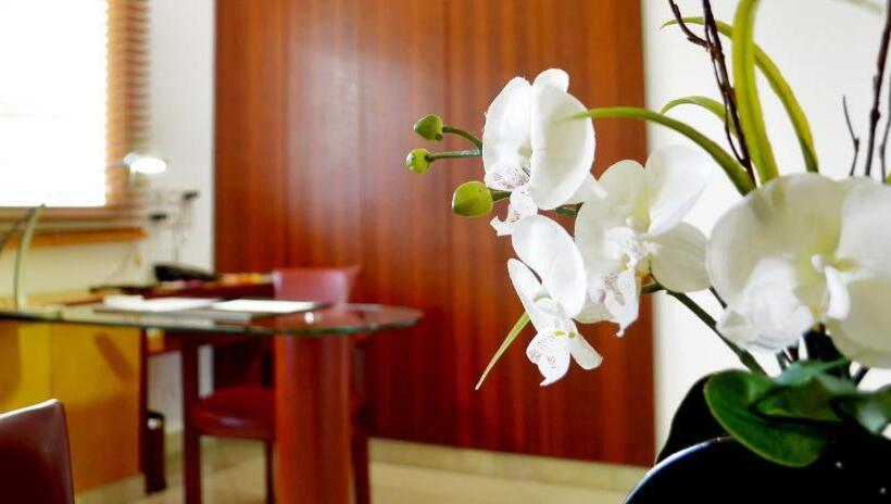 سوییت با چشم‌انداز استخر, Nomad Suites Residence