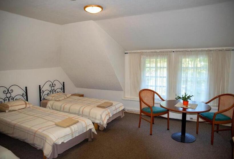 اتاق استاندارد, Guest House Lauvaskalni