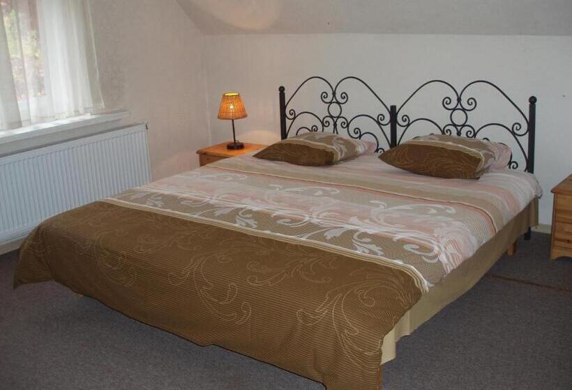 اتاق استاندارد با تخت بزرگ, Guest House Lauvaskalni