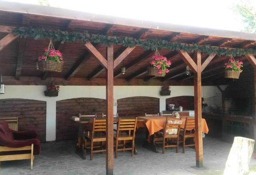 Номер Стандарт, Pension Sf Nicolae