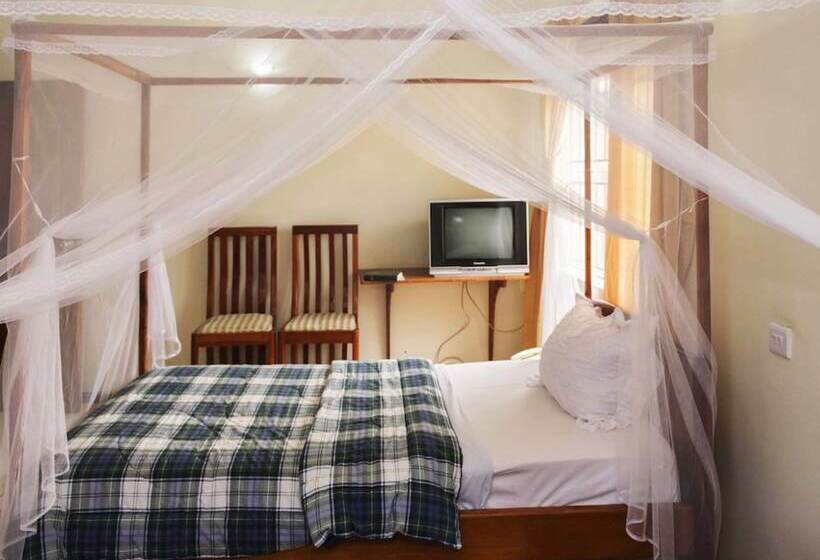 Standard Single Room, Raja Excelsior