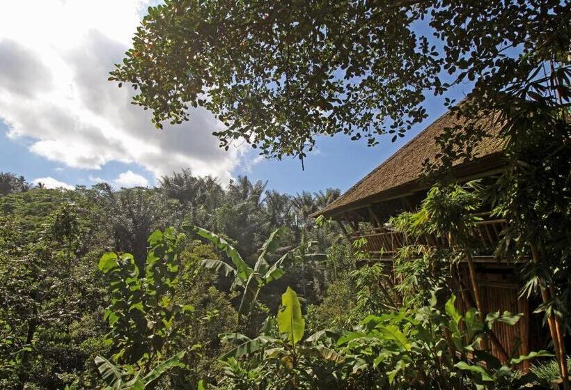 1间卧室的房子, Alassari Plantation