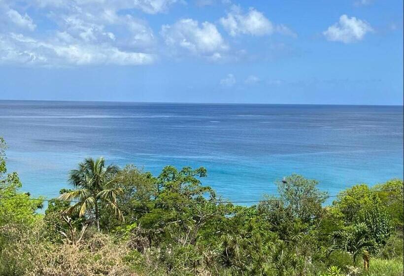 Superior Studio Sea View, Residence Au 'ti Sucrier