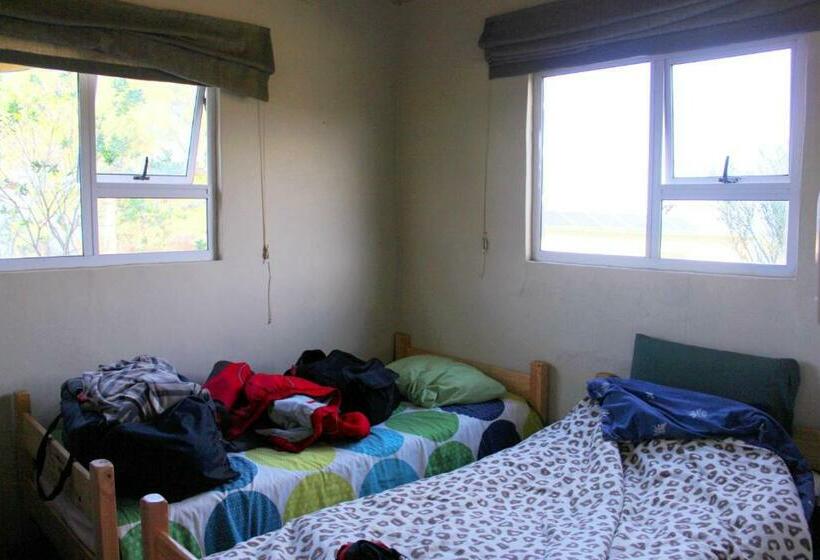 Номер Стандарт, The Wild Farm Backpackers