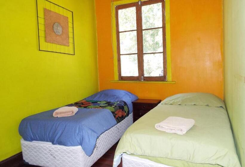 اتاق استاندارد با سرویس بهداشتی مشترک, Hostal Casa Verde Limón