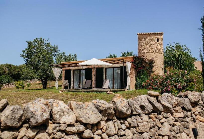 Люкс Повышенной Комфортности, Agroturismo Ses Vistes