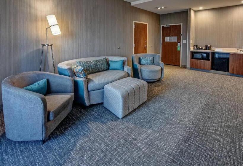 Люкс Deluxe Кровать Кинг, Courtyard Austin By Marriott Northwest/lakeline