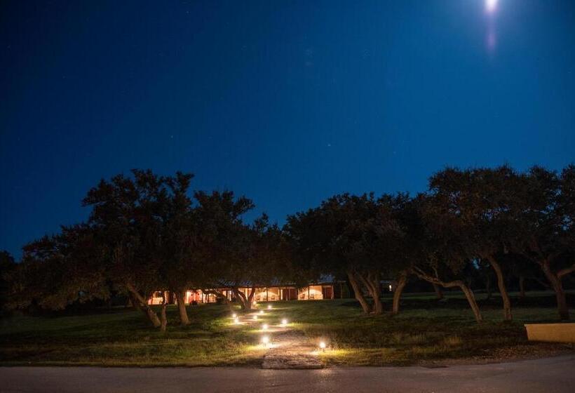 带大床的标准间, Joshua Creek Ranch
