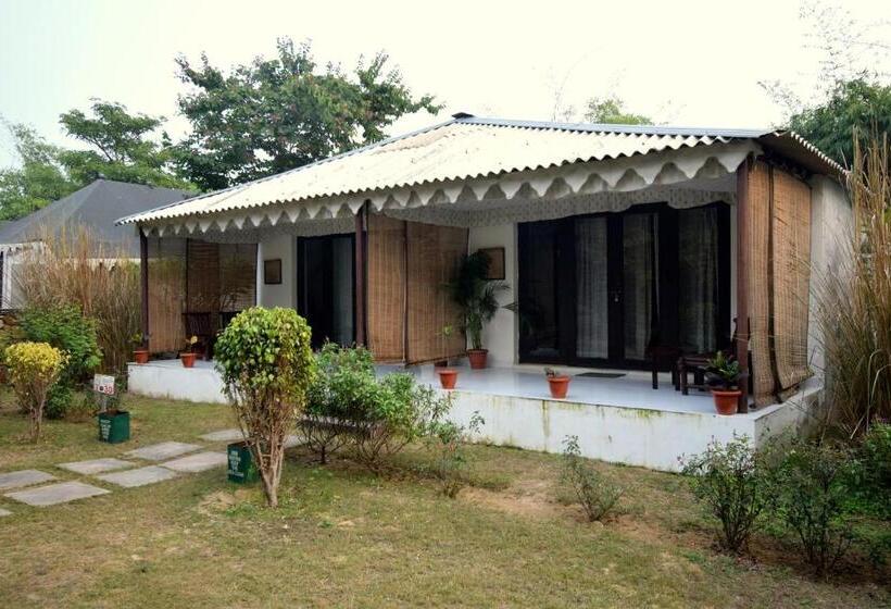 带大床的标准间, Sultan Bagh Resort By The Sky Imperial