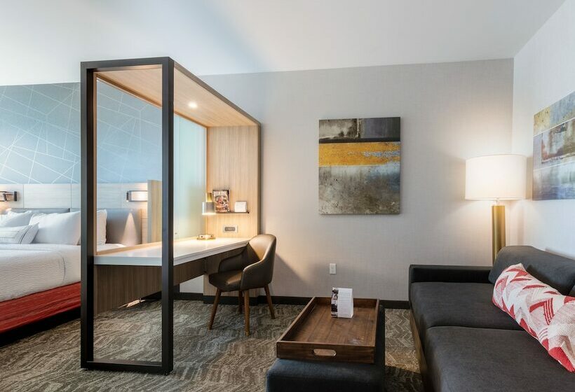 套房, Springhill Suites By Marriott Columbia