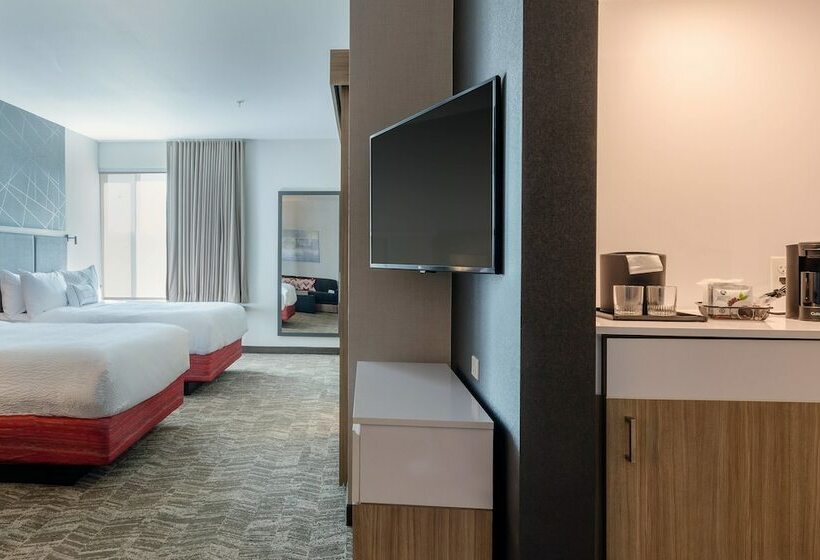 套房, Springhill Suites By Marriott Columbia