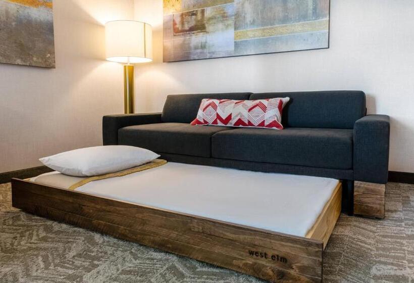 套房, Springhill Suites By Marriott Columbia