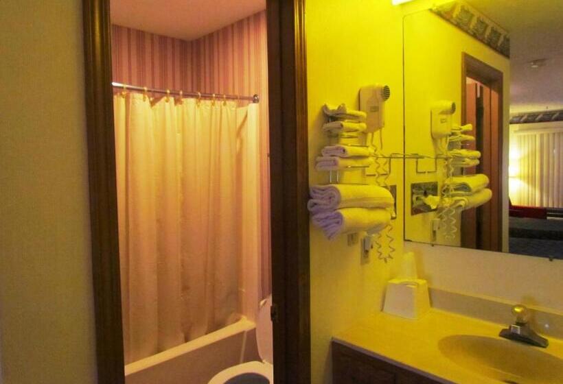 Cameră Deluxe, Travel Inn & Suites