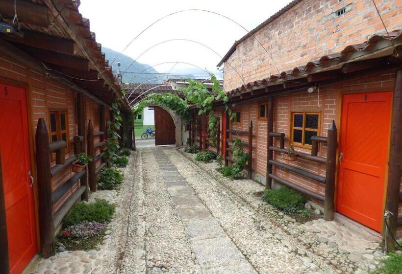 Номер Стандарт, Kantarrana Urbana Jardin
