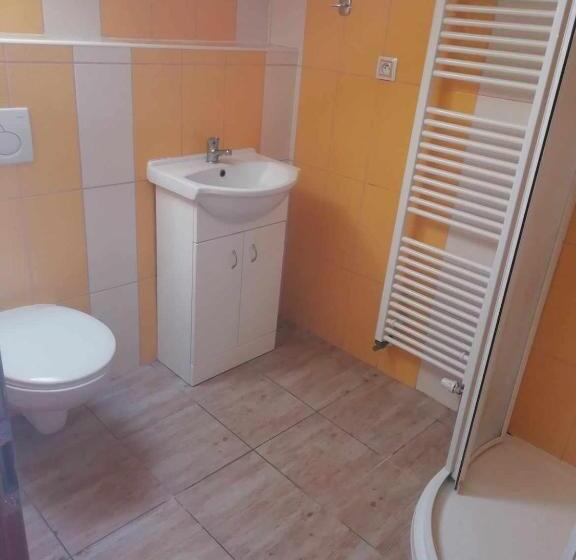 Номер Стандарт, Penzion U Burešů Staré Sedlo