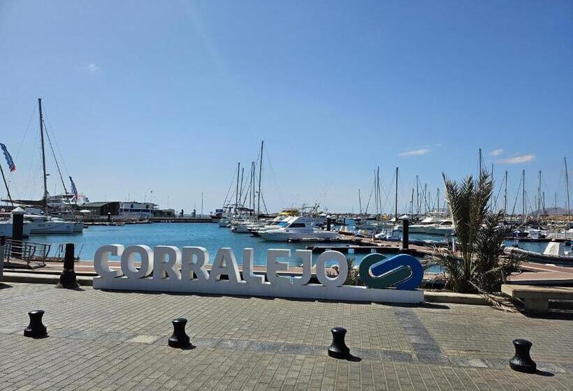 تختخواب در اتاق مشترک, Corralejo Coliving By Amazzzing Travel