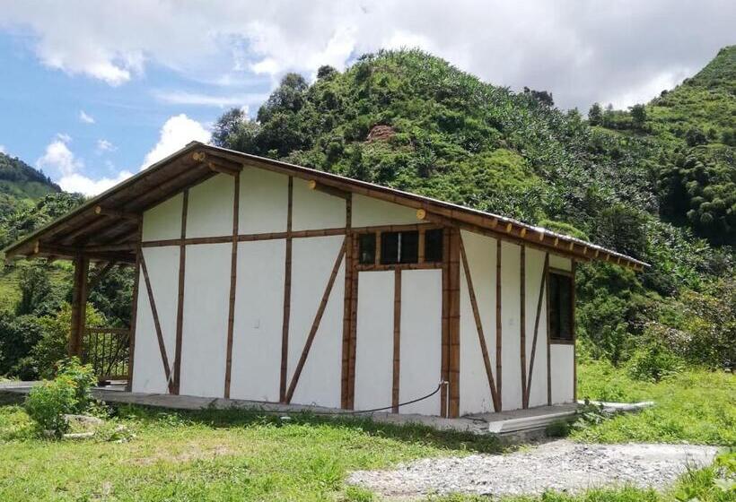 스탠다드 룸, Cabaña Nido De Amazilia