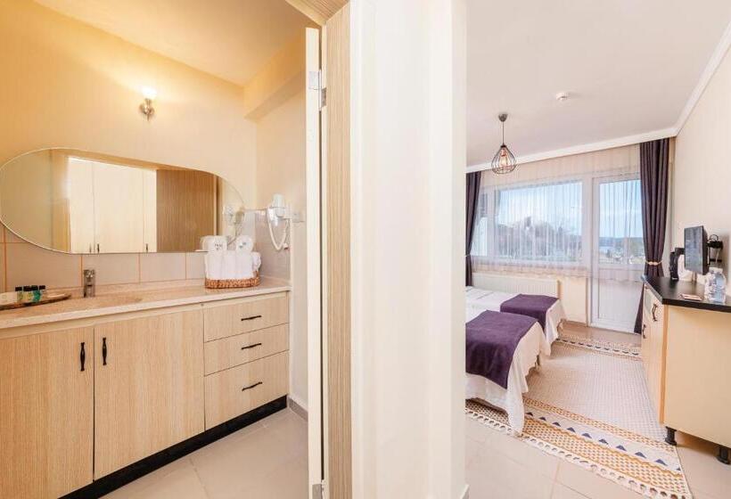 اتاق اساندارد با چشم‌انداز جانبی به دریا, Ki̇raz Beach Otel