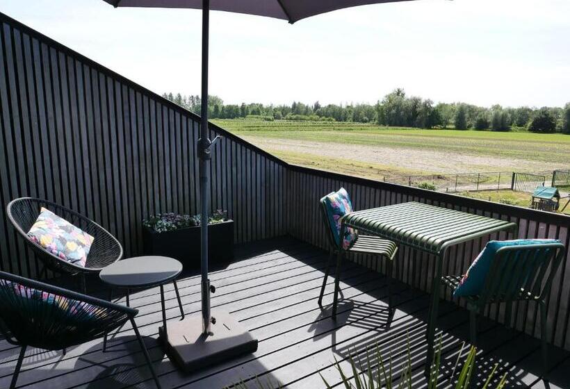 Номер Deluxe, B&b De Stuifduinen