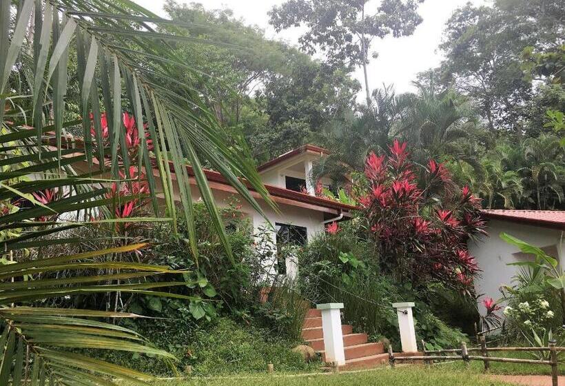 수피리어 스위트 바다 전망, Casa Del Toucan