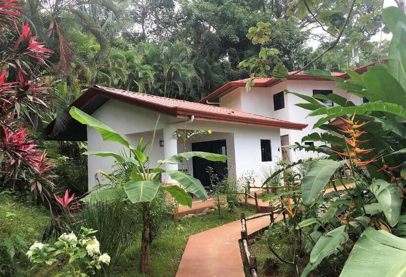 스탠다드 스튜디오, Casa Del Toucan