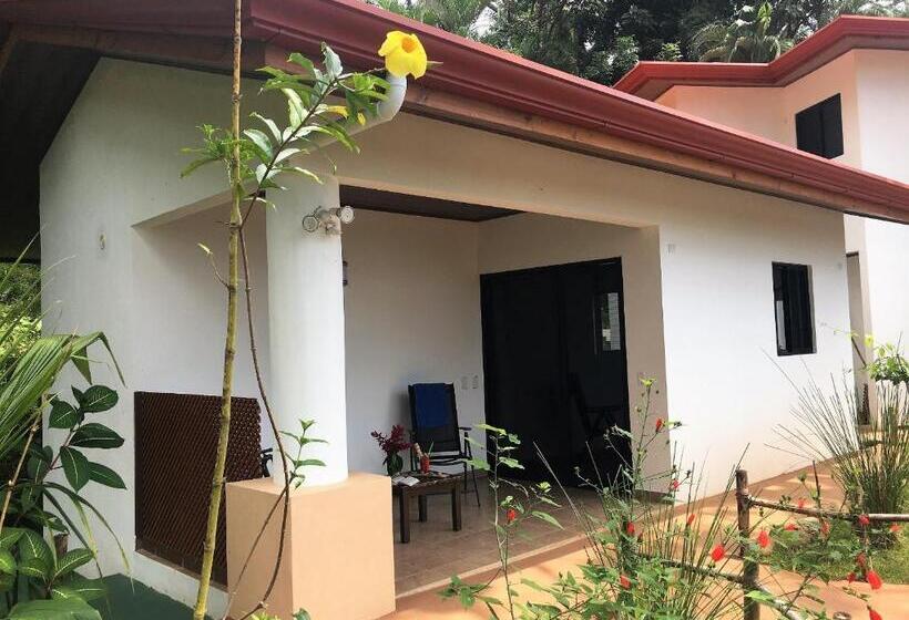 스탠다드 스튜디오, Casa Del Toucan