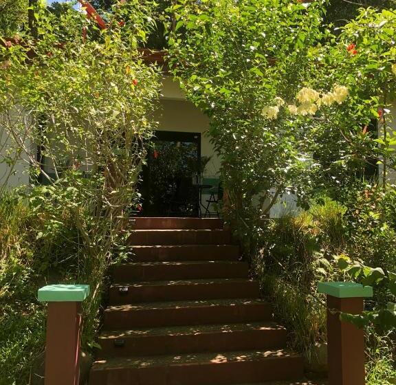 수피리어 스위트 바다 전망, Casa Del Toucan
