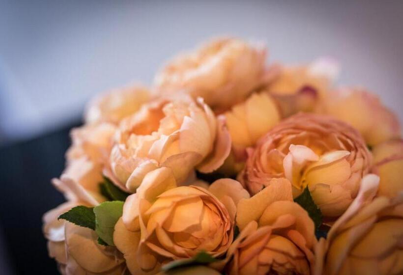 غرفة قياسية فردية, Melchior Park