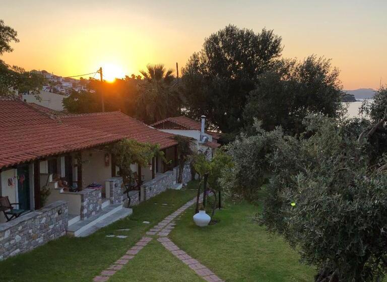 استودیوی استاندارد با چشم‌انداز دریا, Angeliki Beach