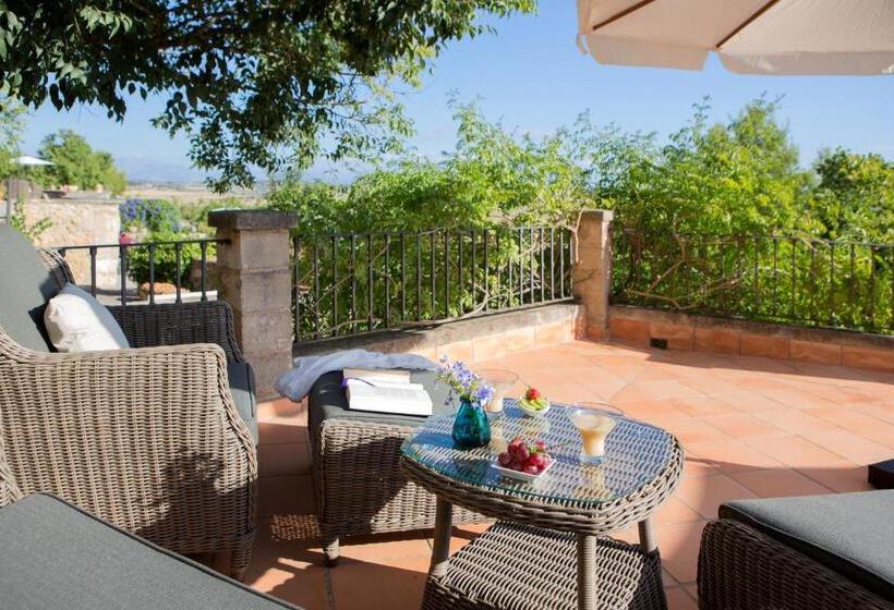 سوئیت جونیور با تراس, Casa Font I Roig
