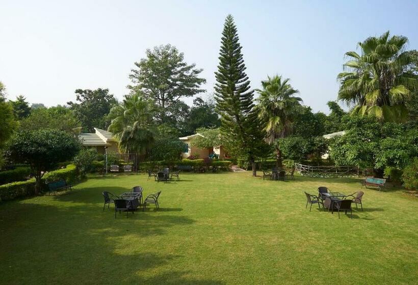 غرفة ديلوكس, Acorn Hideaway Resort & Spa