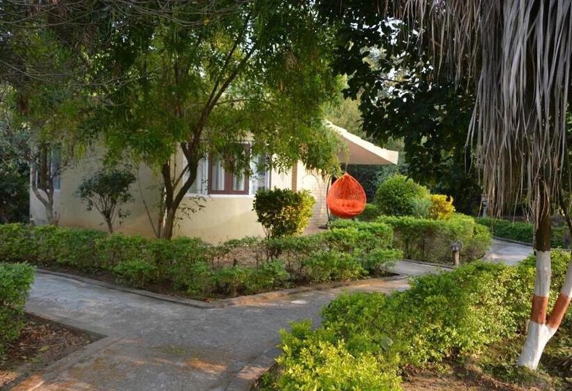 جناح عائلي, Acorn Hideaway Resort & Spa