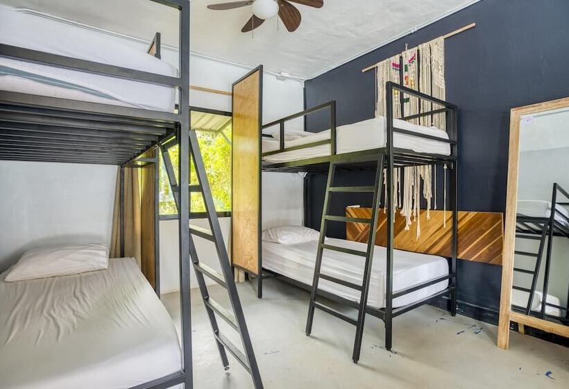 스탠다드 룸, Selina Santa Teresa North   Hostel