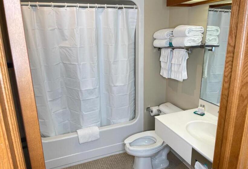 스탠다드 룸 킹사이즈 침대, Farmstead Inn And Conference Center