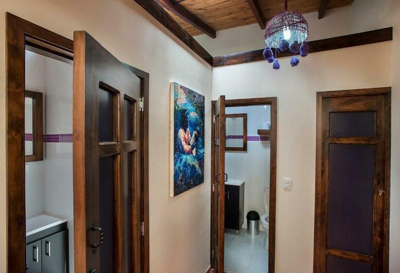 اتاق استاندارد با سرویس بهداشتی مشترک, Casa Hospedaje La Bohemia