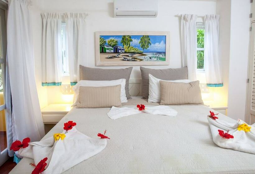 سوئیت جونیور با چشم‌انداز, Los Corales Beach Village